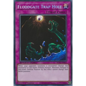 SGX1-ENI23 - Floodgate Trap Hole - Secret Rare (Near mint)